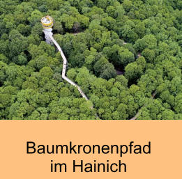 Baumkronenpfadim Hainich