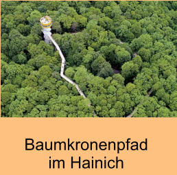 Baumkronenpfadim Hainich